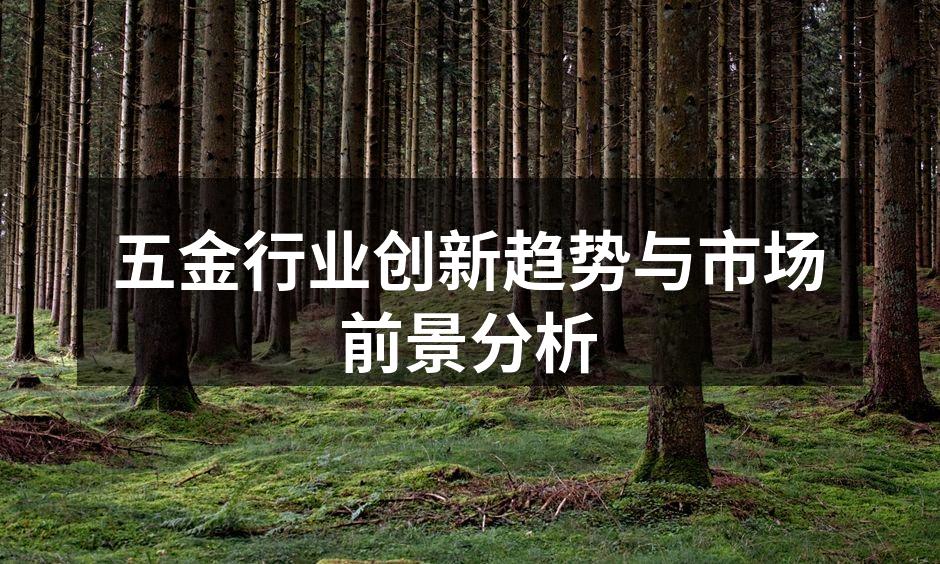 五金行业创新趋势与市场前景分析